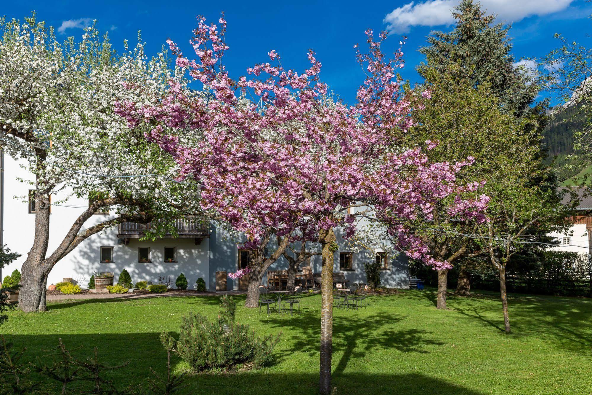Residence Mitterdorfer Abfaltersbach Eksteriør bilde